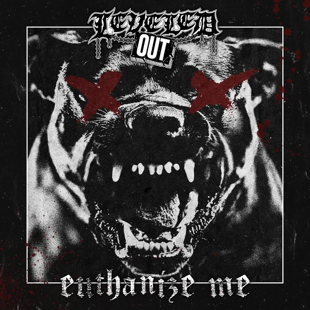 Euthanize Me by Leveled Out